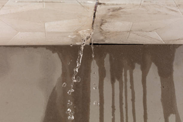 Professional Structural Drying technician working in Telephone, TX